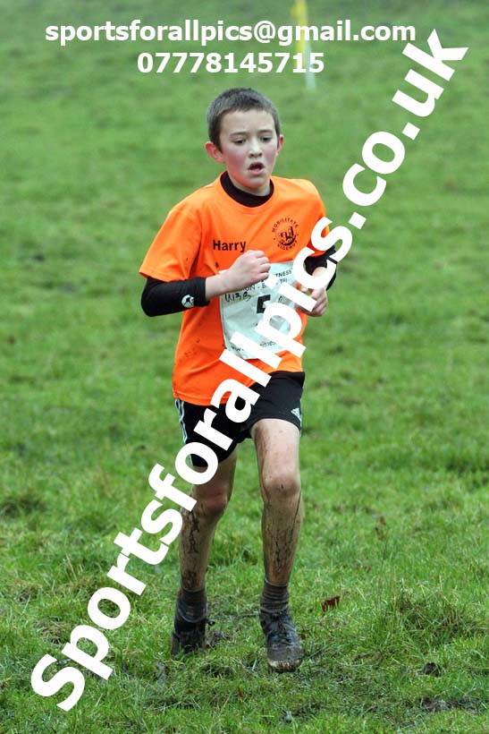 Boys under-13s, NECAA Junior Cross Country Relays, Thornley Farm, Peterlee, Saturday, December 12th. Photo: David T. Hewitson/Sports for All Pics